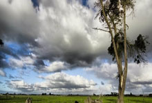 2026欧洲区世界杯预选赛有哪些看点？